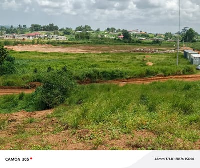 🎯 OPPORTUNITÉ EXCEPTIONNELLE À SONGON – TERRAINS AVEC TITRES ET VUE LAGUNAIRE