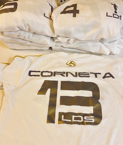 LDS GENEVE FC VS ROMANDIE SOLUTIONS 20h45 stade des Cherpines.