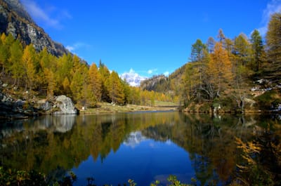 6 Ottobre 2025 : una giornata al Lago delle Streghe (Alpe Devero)