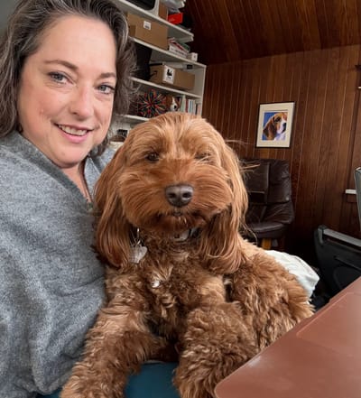 Pets image
