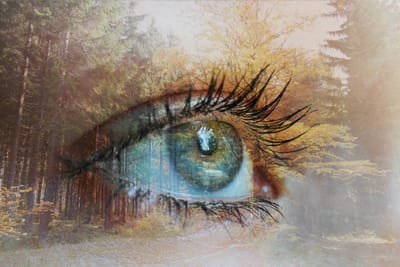 Brainspotting image