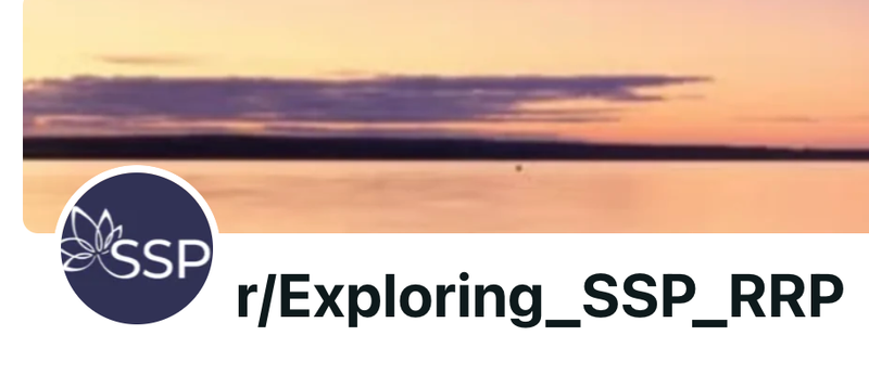 New Community: Exploring SSP & RRP on Reddit