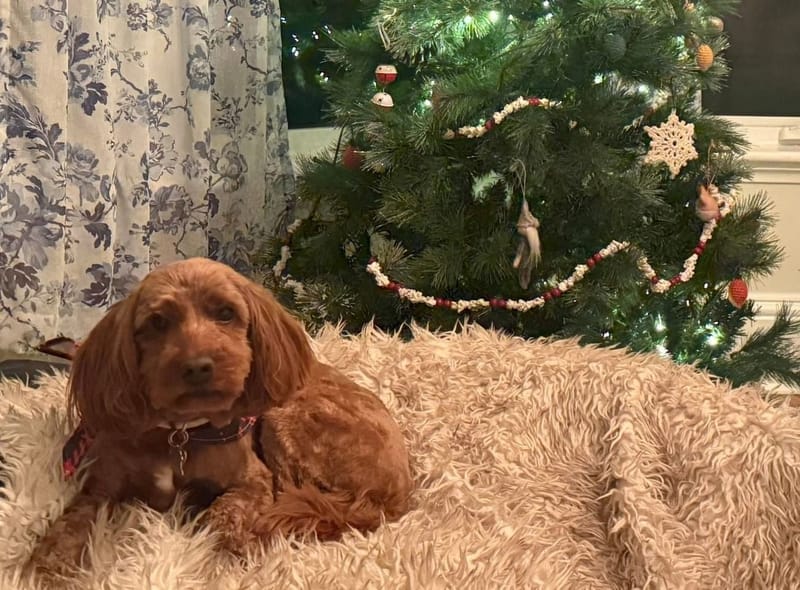 Sometimes the Nervous System Shows Progress Sideways