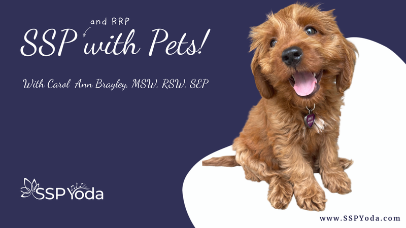 It’s Finally Here: The SSP with Pets Webinar 🐾