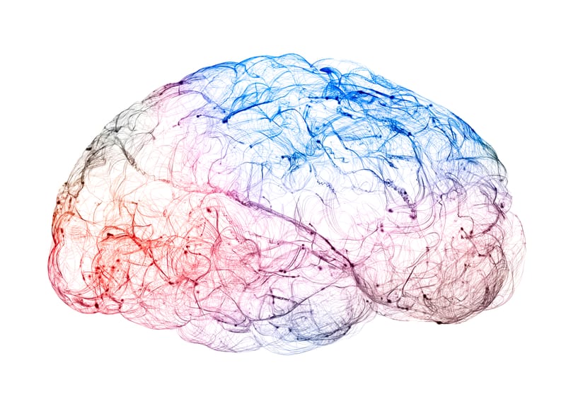 What Research Has Been Conducted on NeurOptimal?