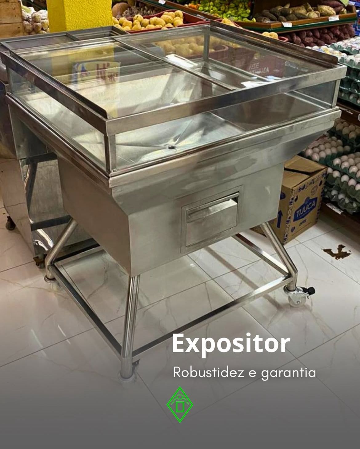 EXPOSITOR DE CARNES E CONGELADOS