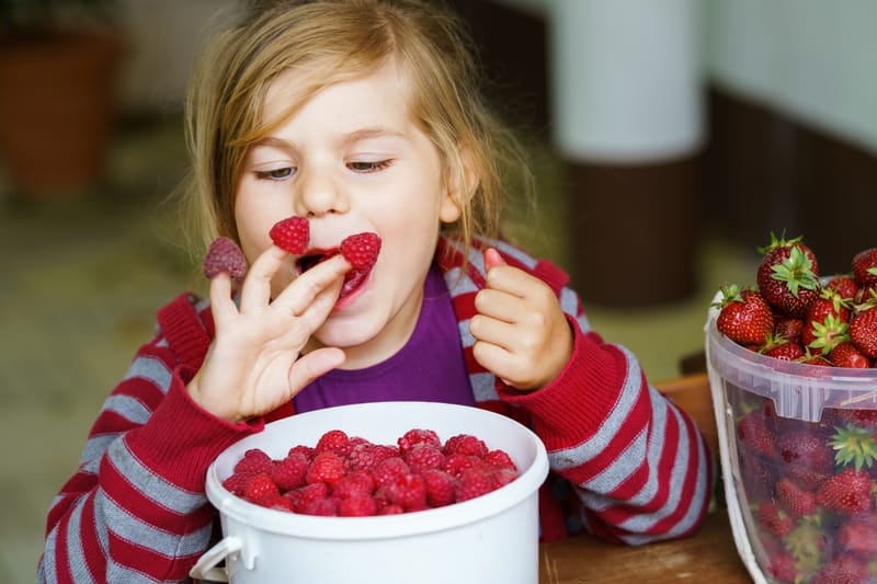 Mon expérience dans un centre de santé de référence de la lutte contre l'obésité chez l'enfant