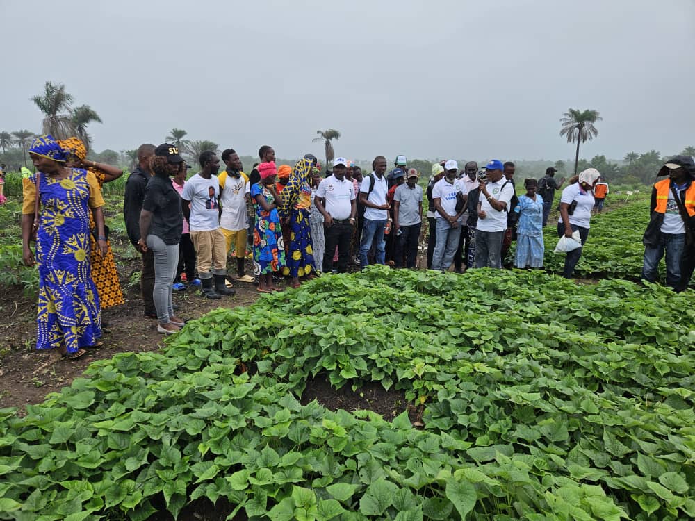 SLARI Exhibits at the Newly established Technology Pack in Port Loko District