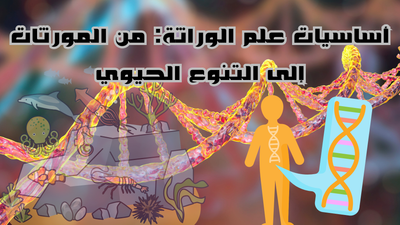 أساسيات علم الوراثة: من المورثات إلى التنوع الحيوي