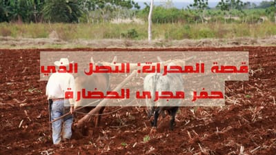 قصة المحراث: النصل الذي حفر مجرى الحضارة