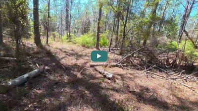 Riding the Trail video