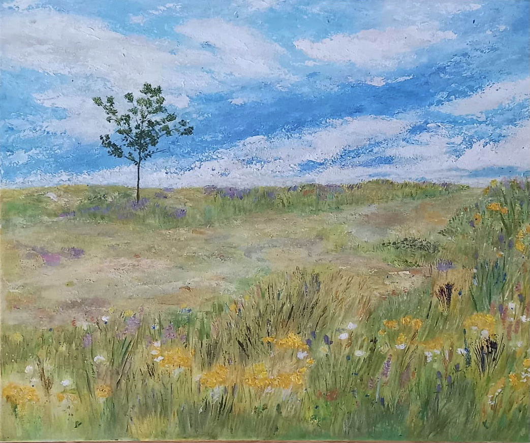 Summer Meadow