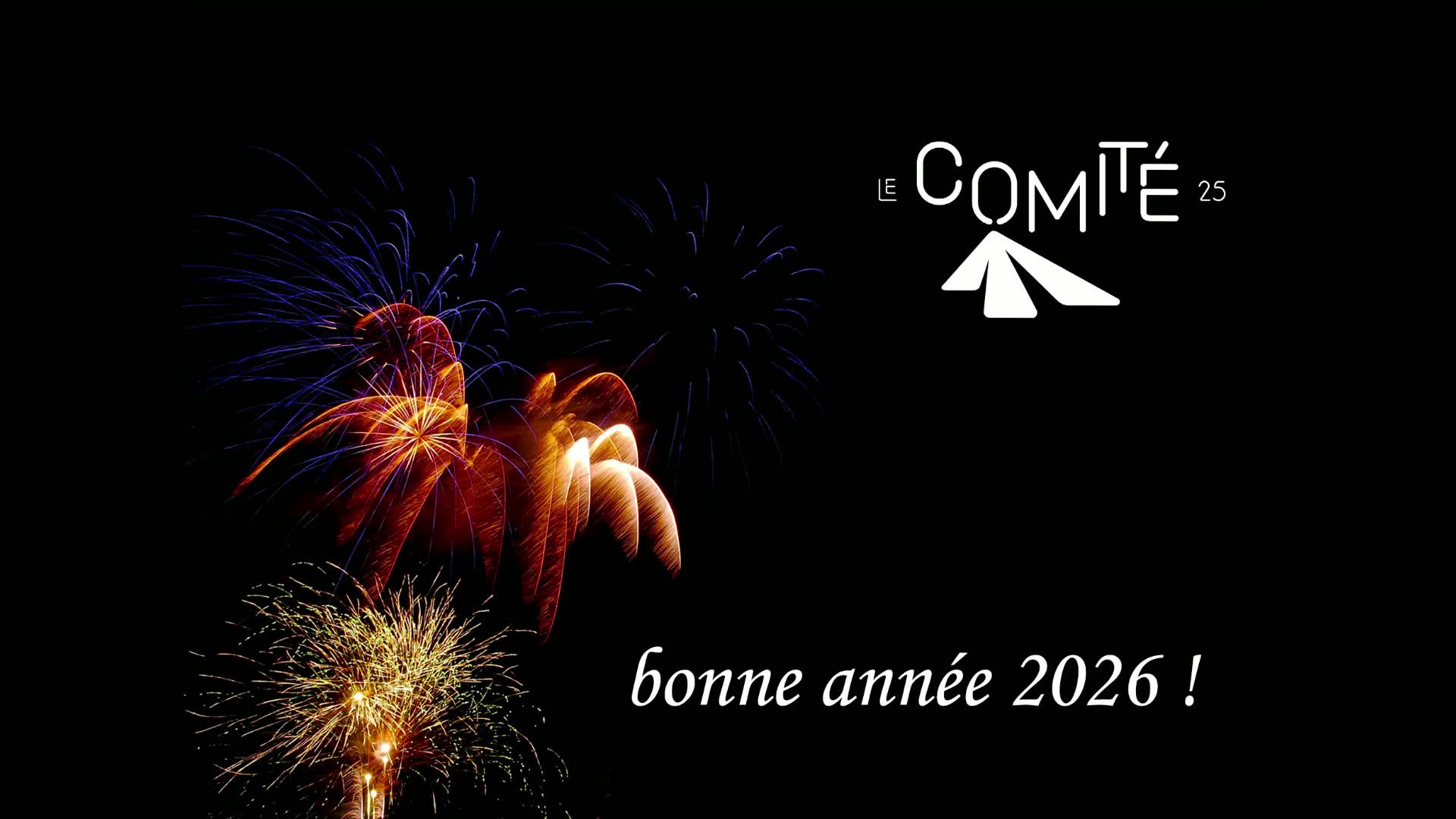Bonne année 2026 :-) thumbnail