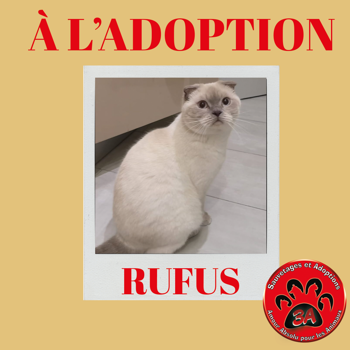 RUFUS