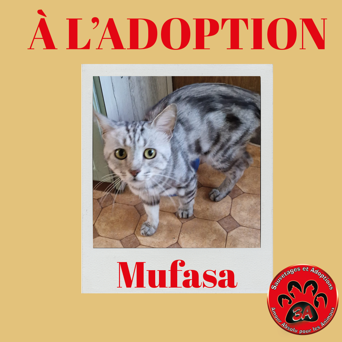 MUFASA
