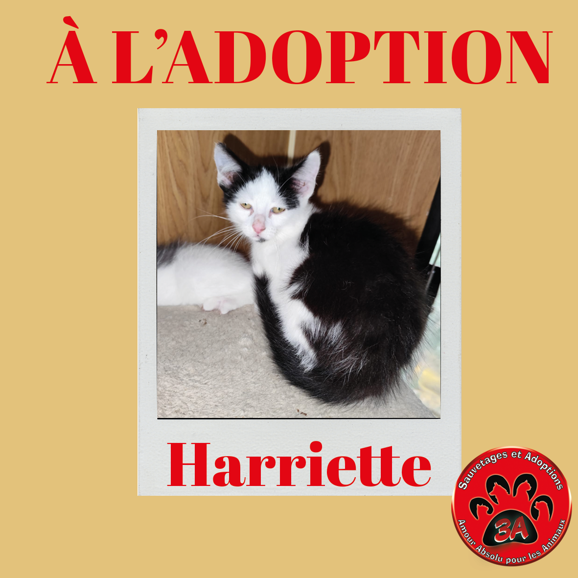 HARRIETTE