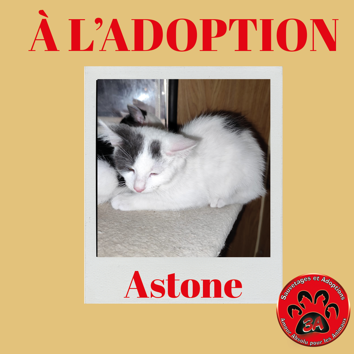 ASTONE
