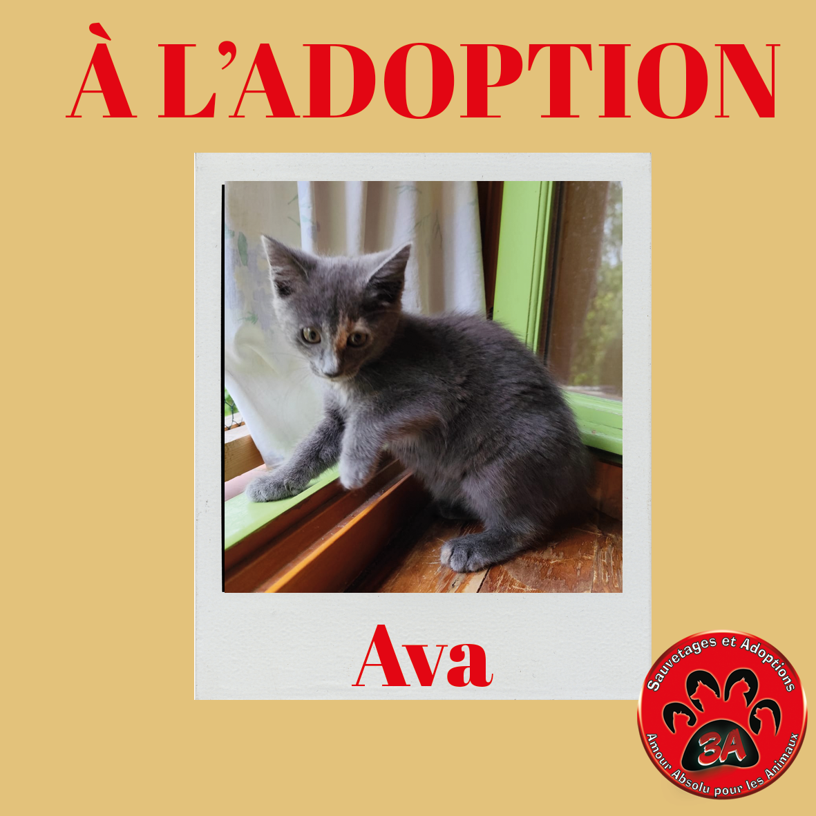 AVA