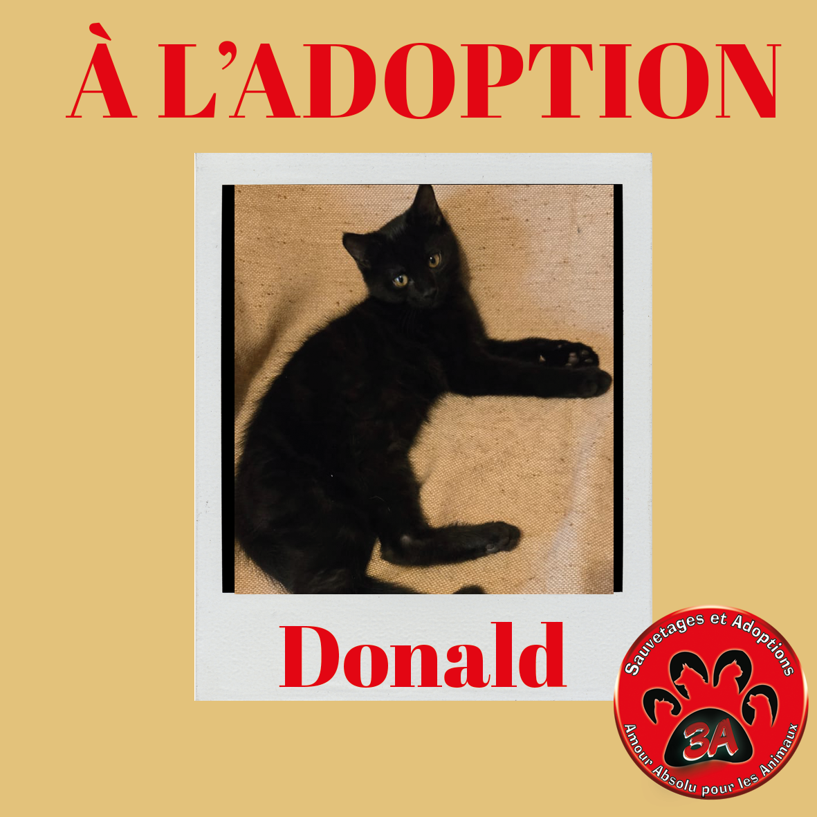 DONALD