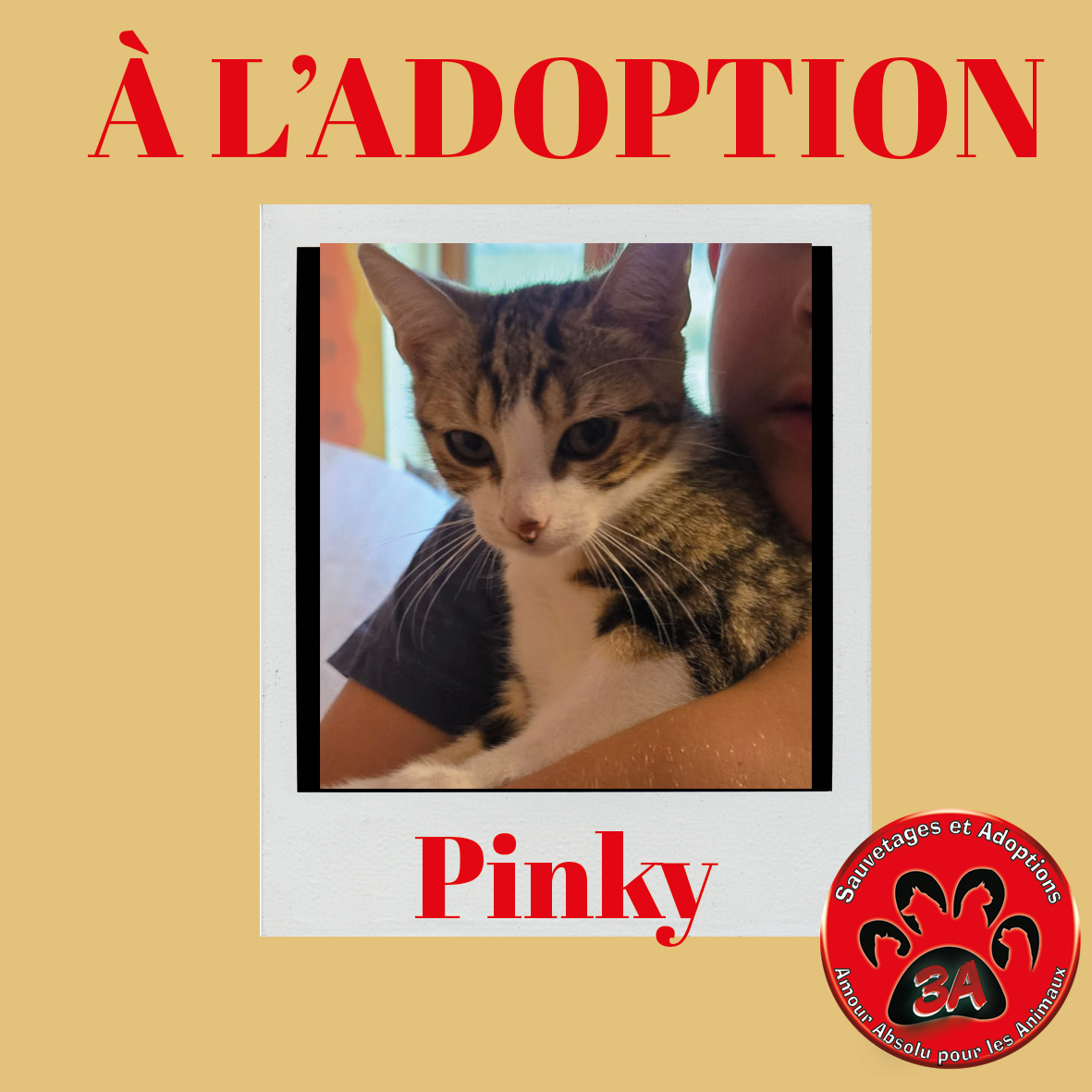 PINKY