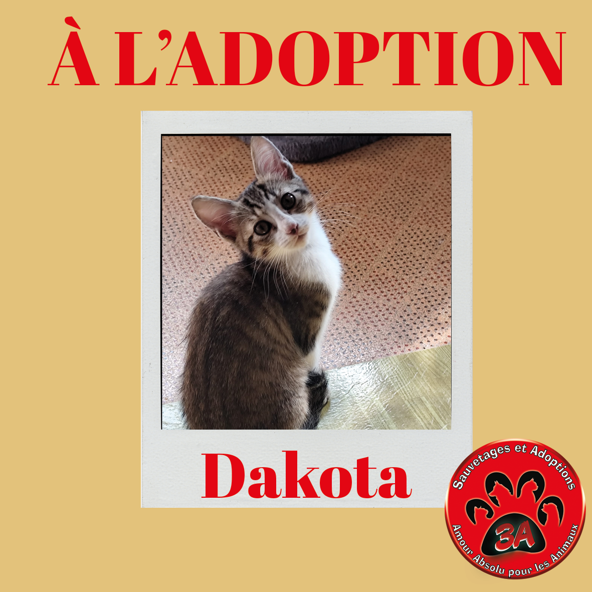 DAKOTA