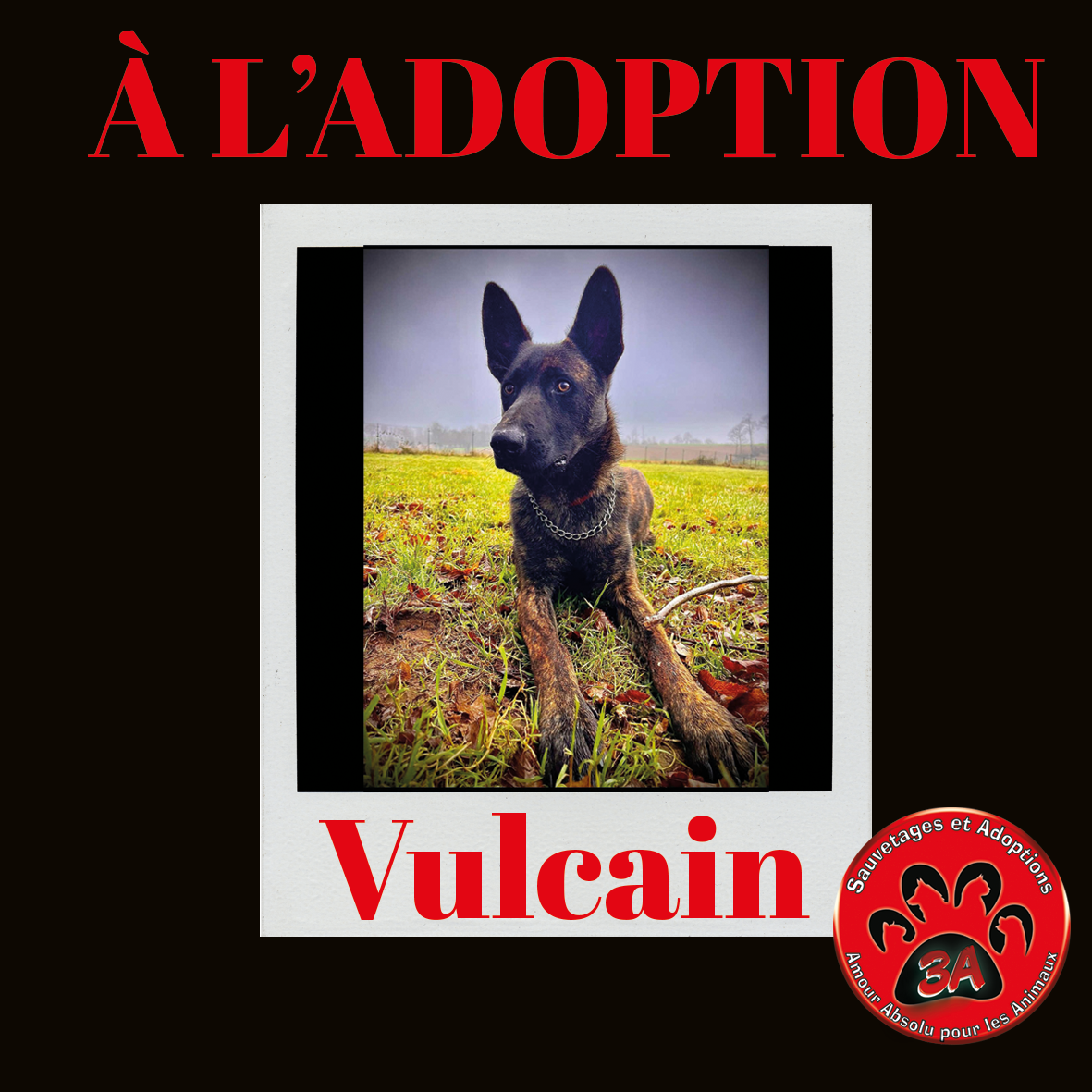 VULCAIN