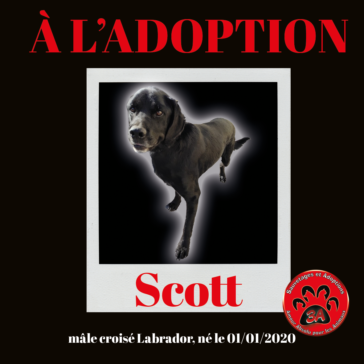 Scott