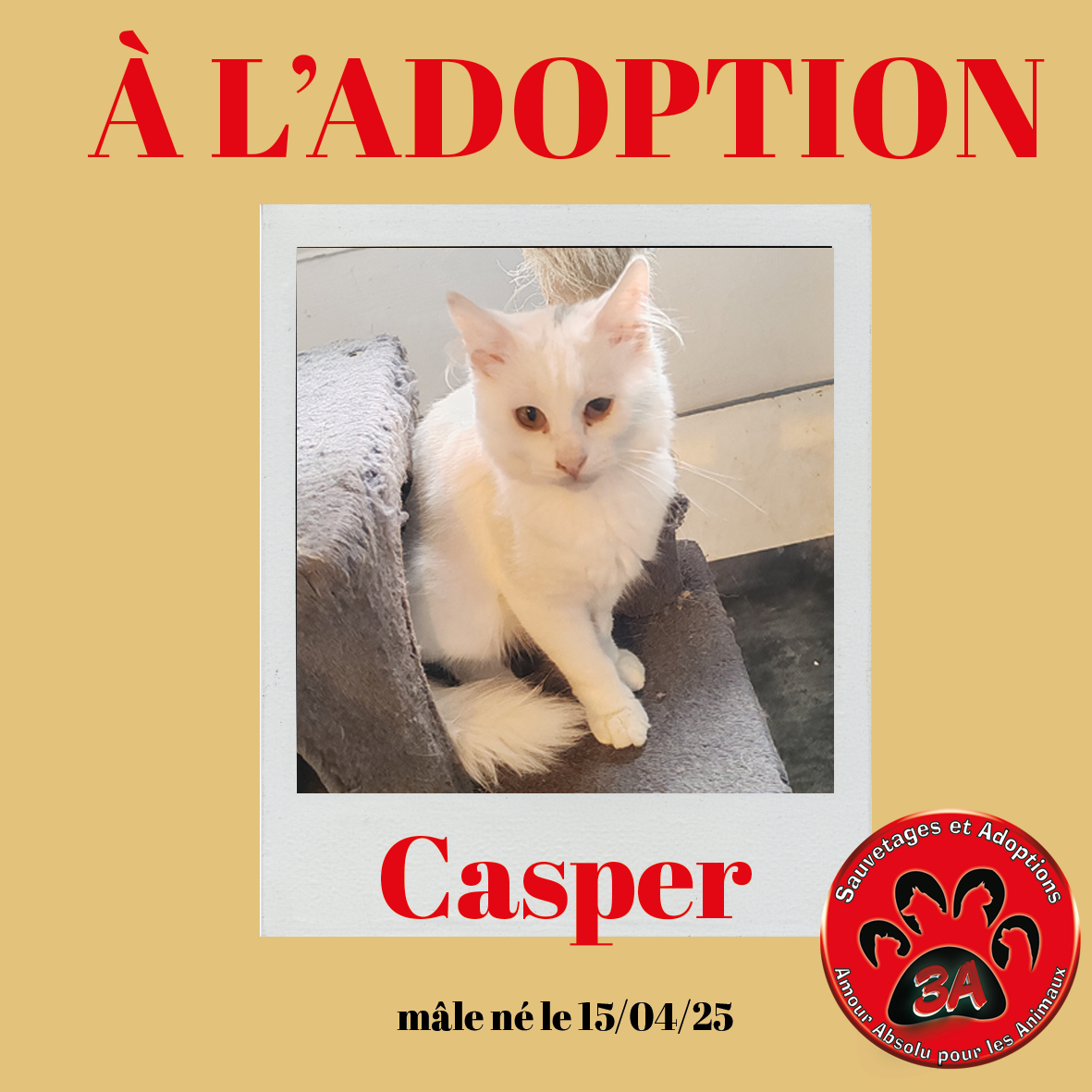 CASPER