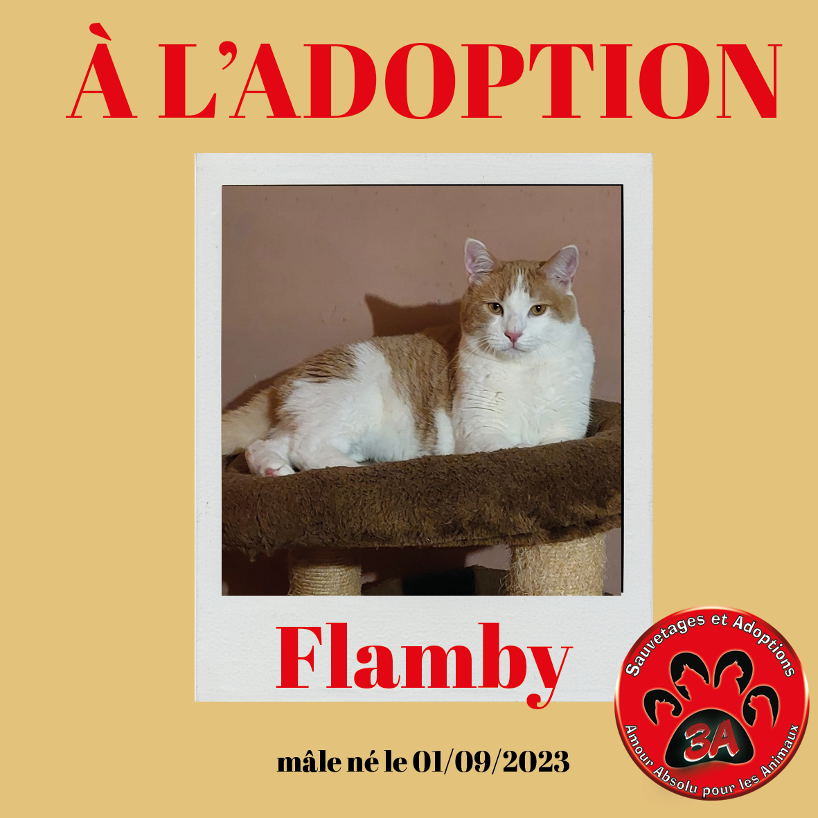 FLAMBY