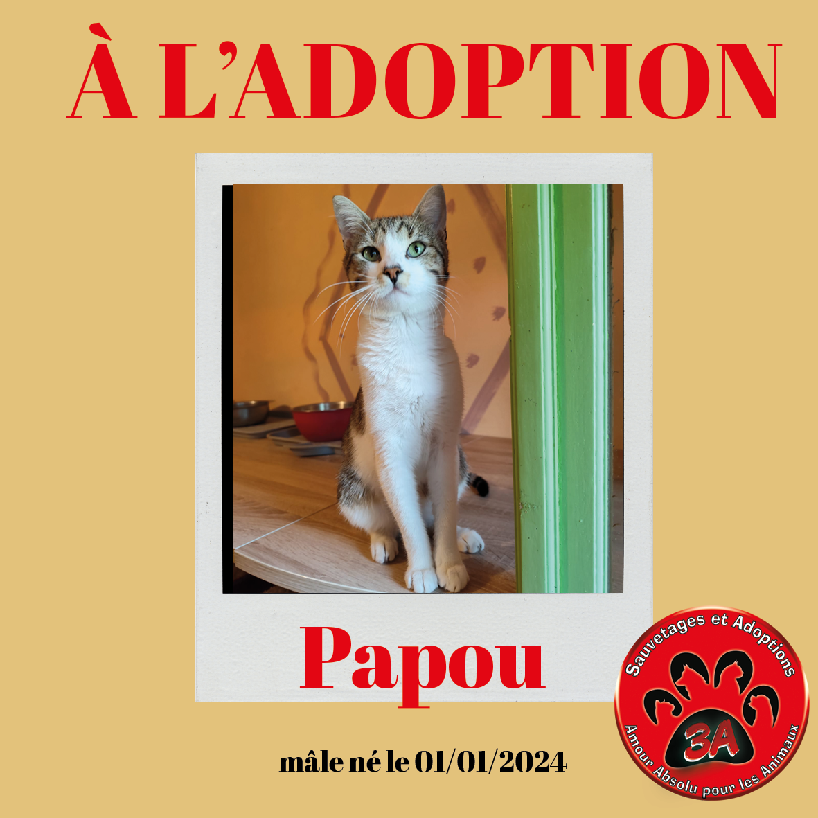 PAPOU