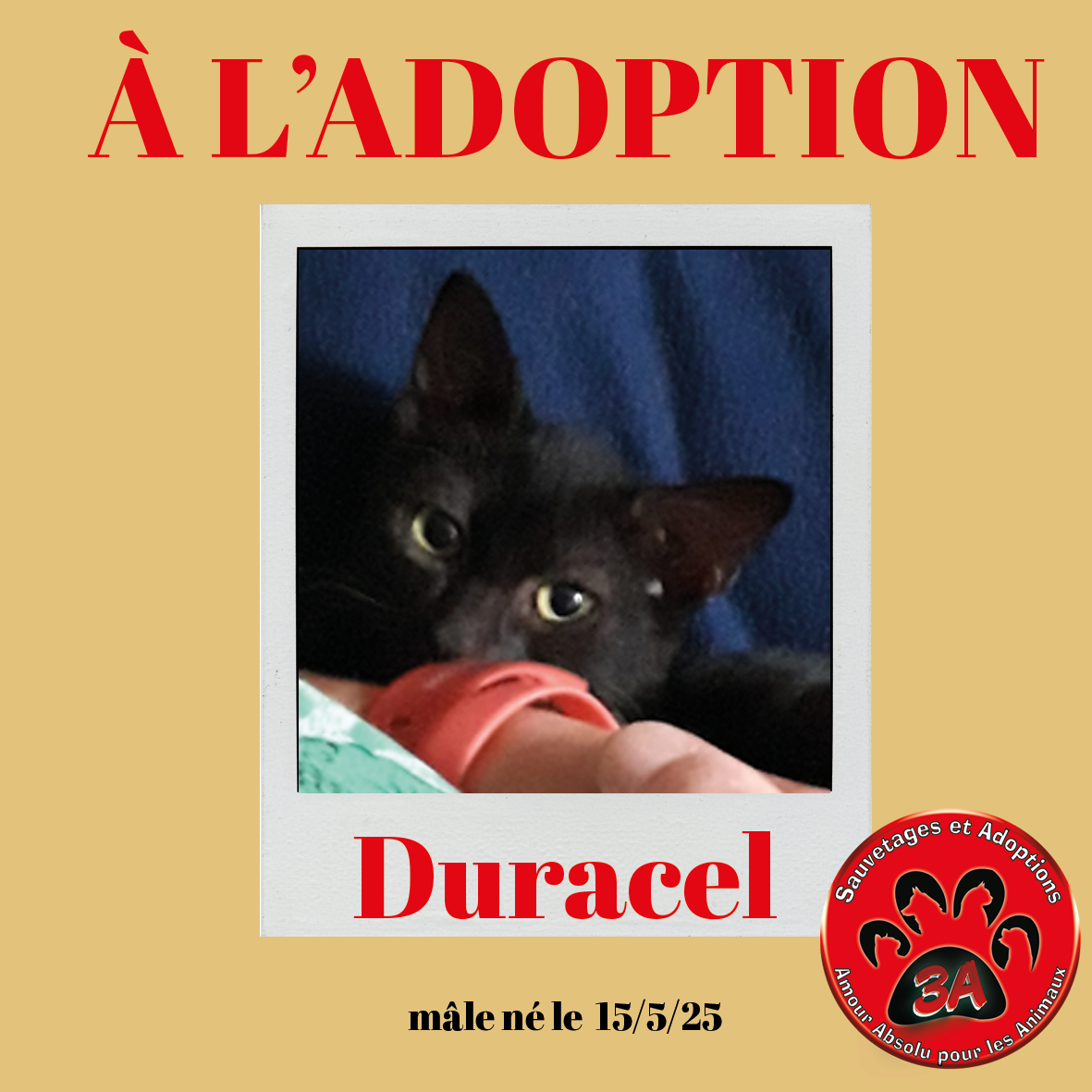 DURACEL