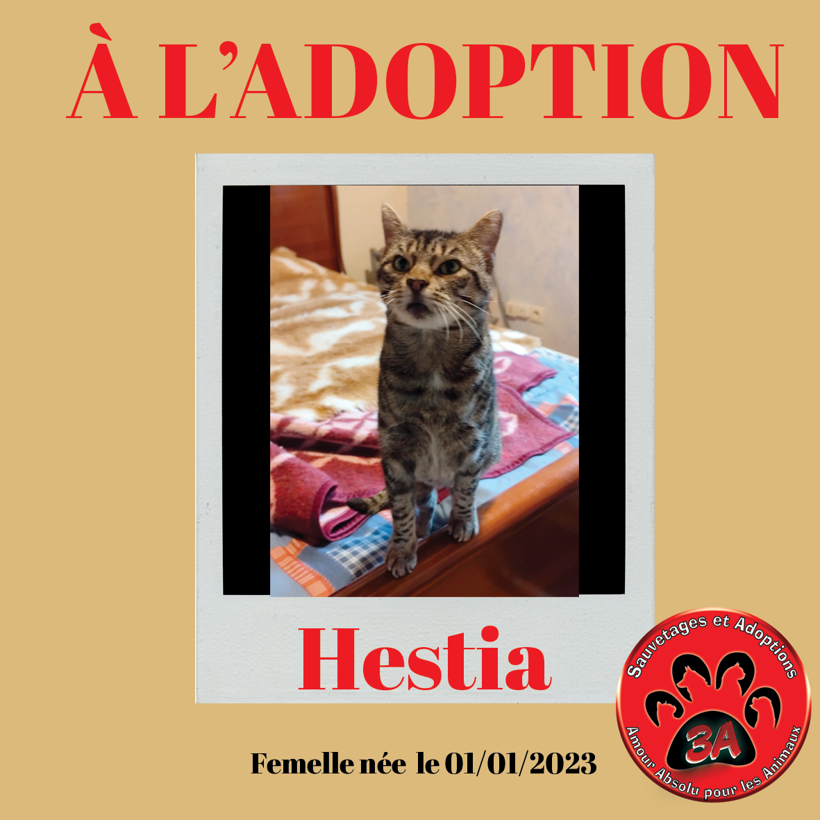HESTIA