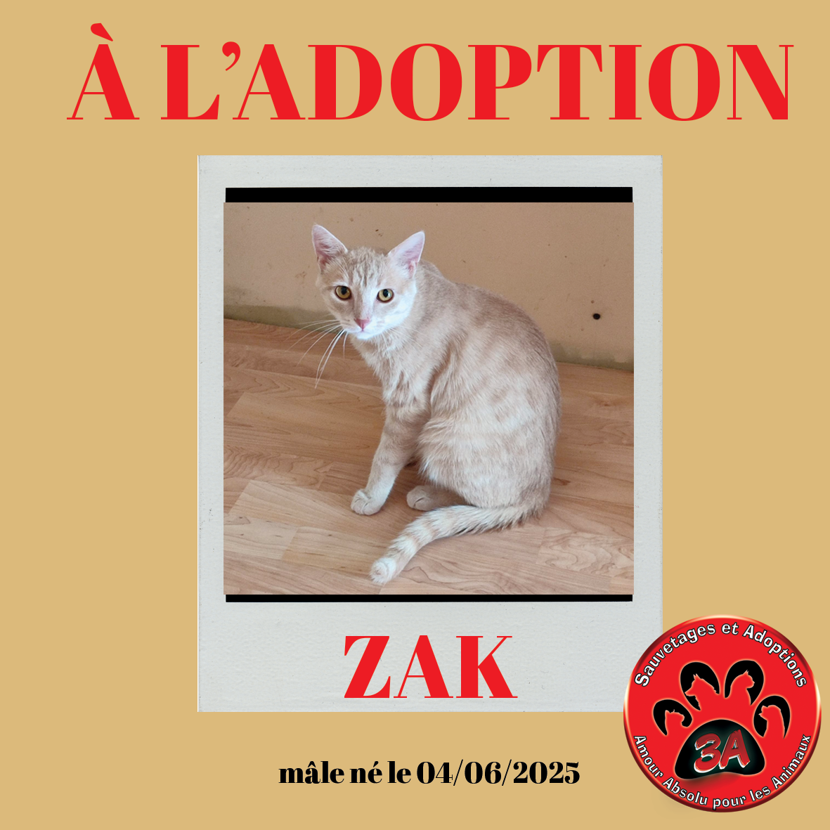 ZAK
