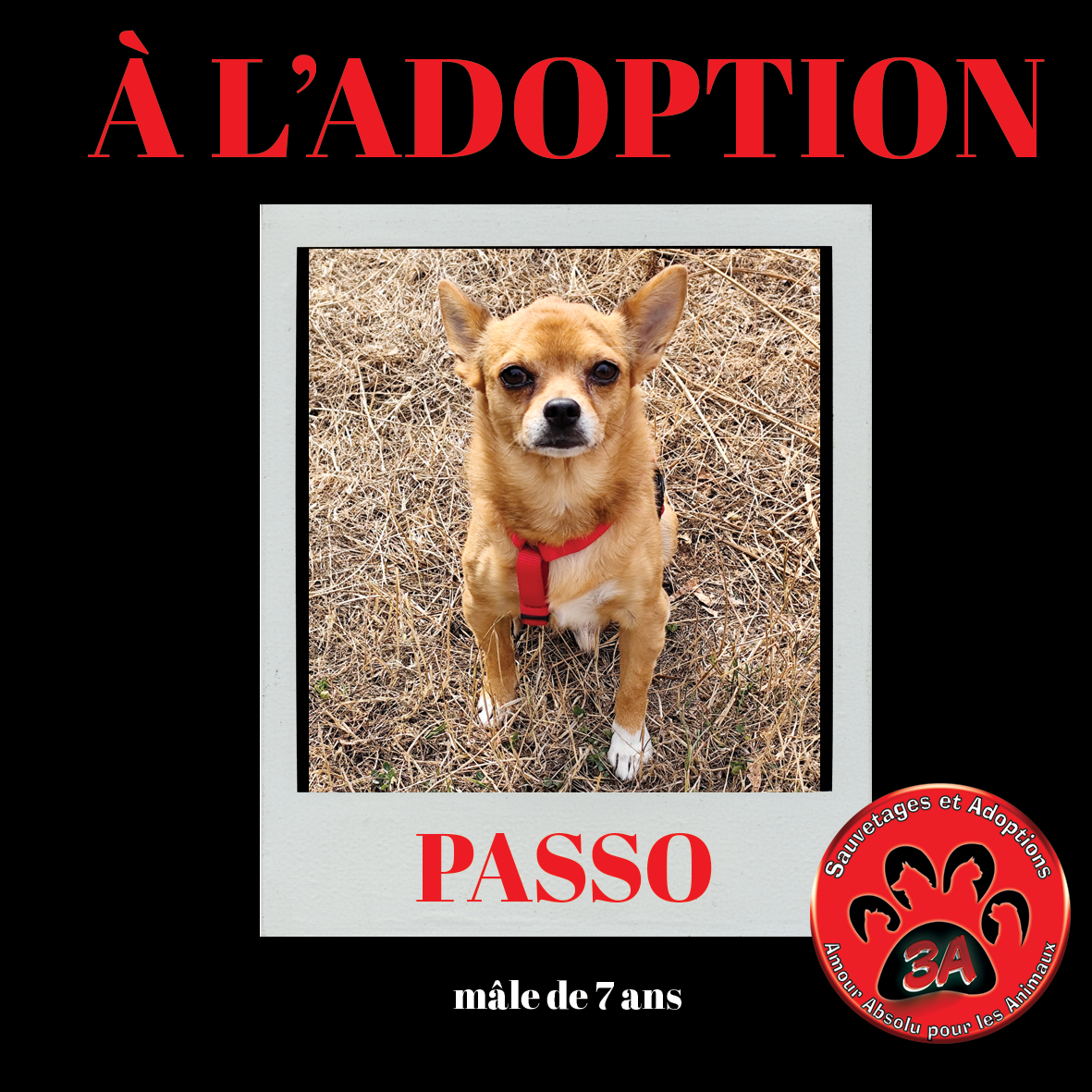 PASSO