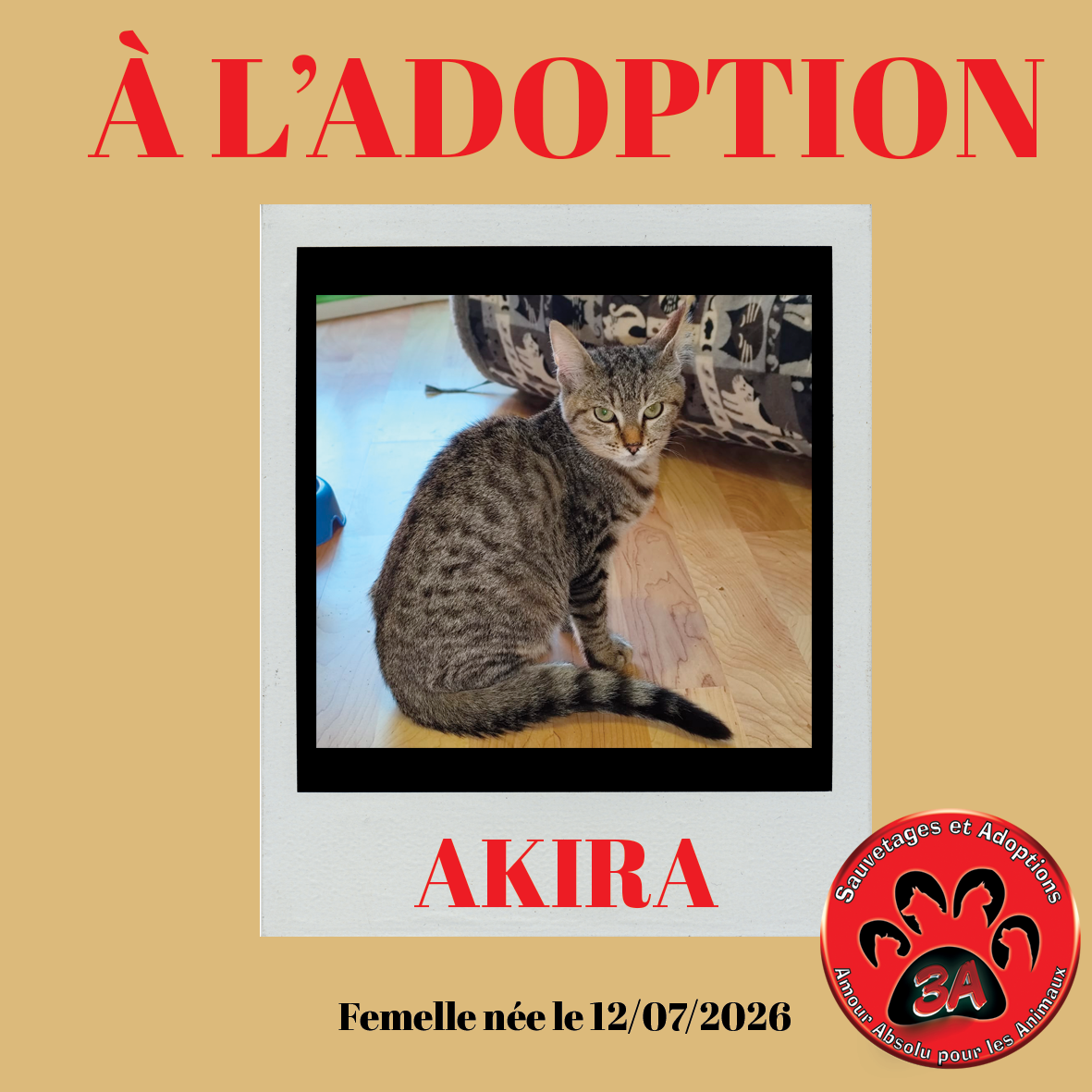 AKIRA