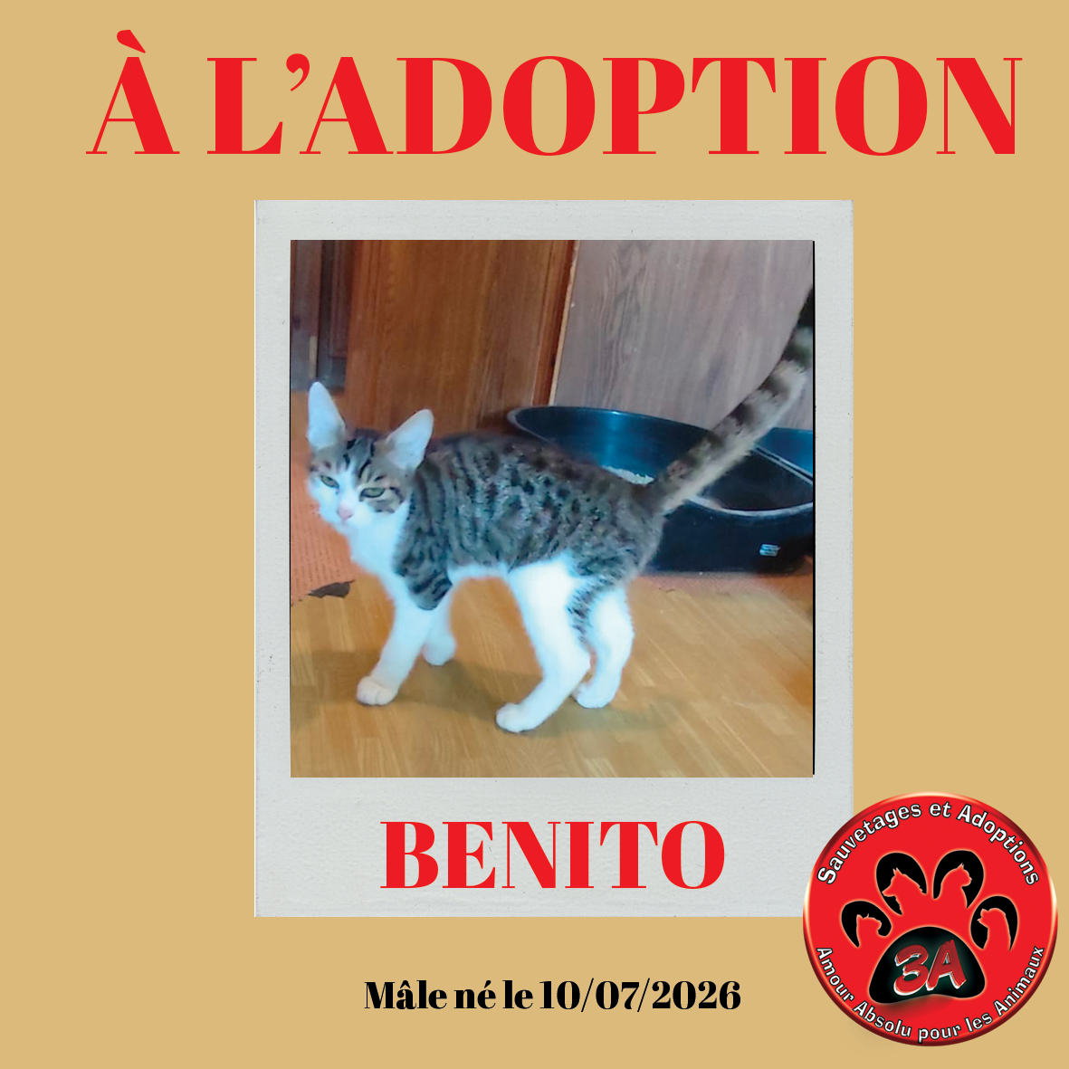 BENITO