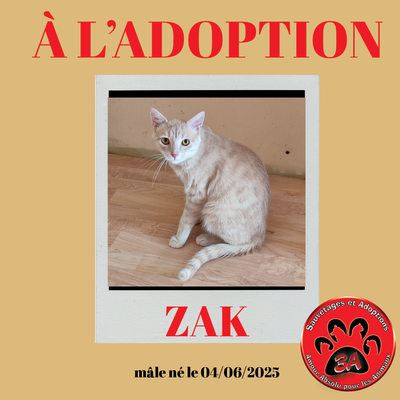 ZAK