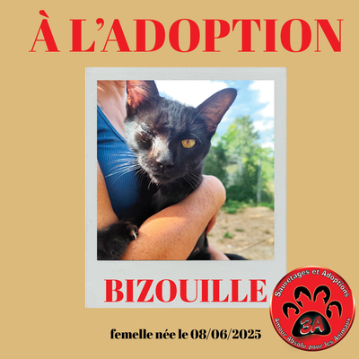BIZOUILLE