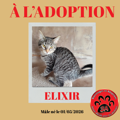 ELIXIR