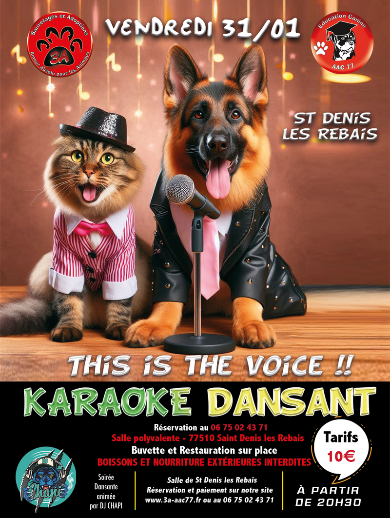 KARAOKE DANSANT