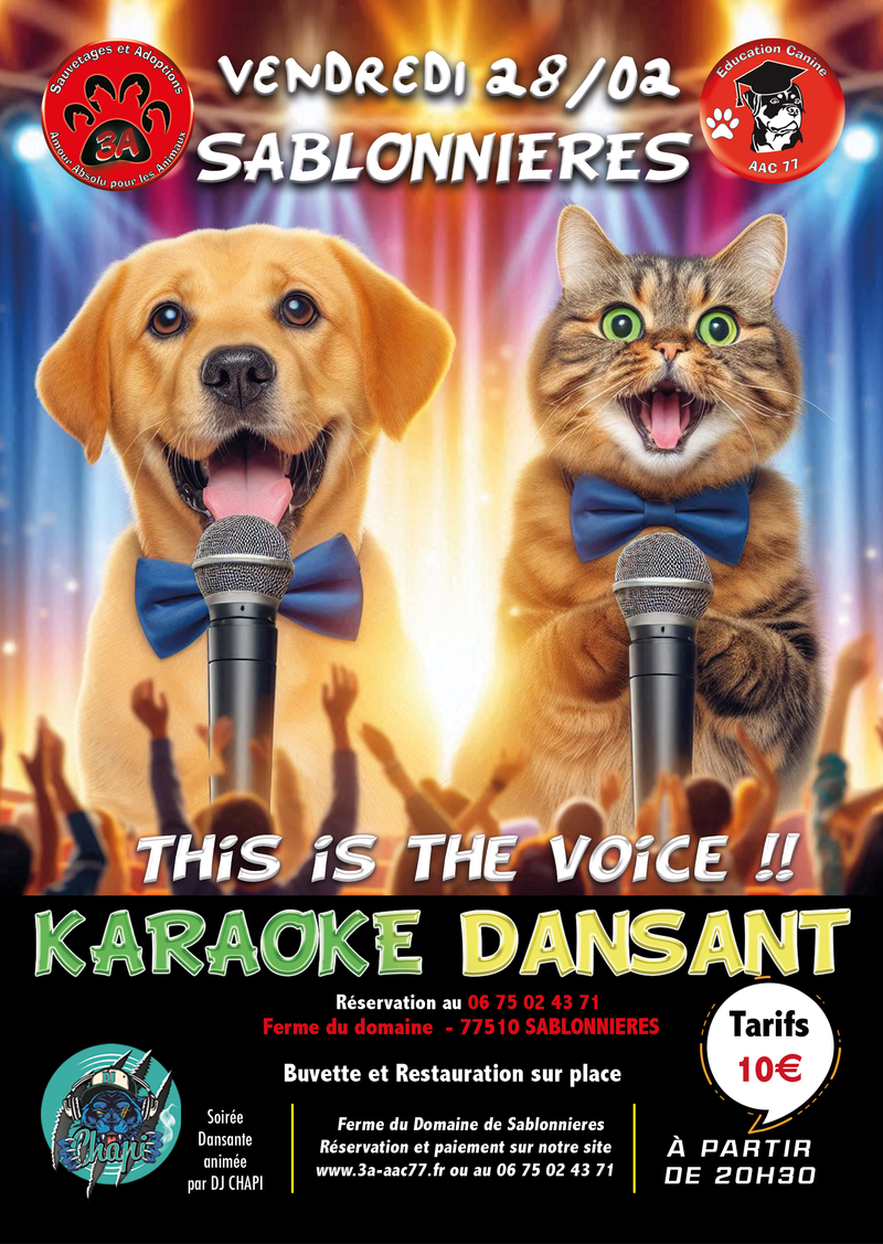 KARAOKE DANSANT