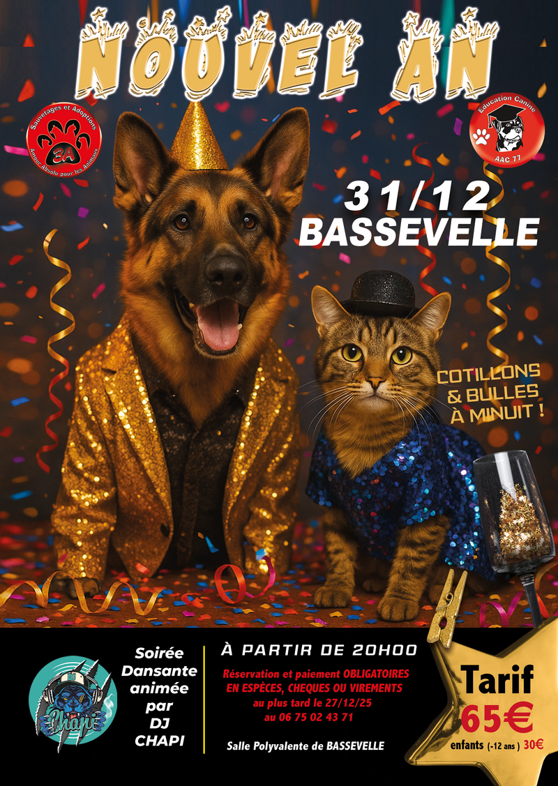 SOIREE NOUVEL AN