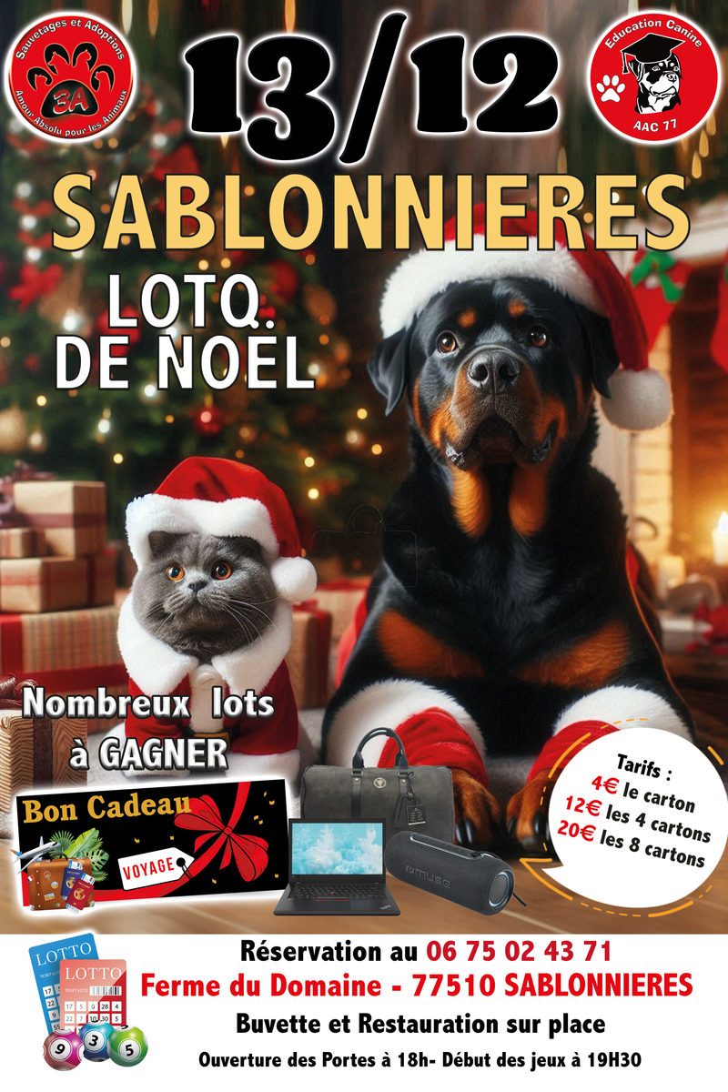 LOTO DE NOEL