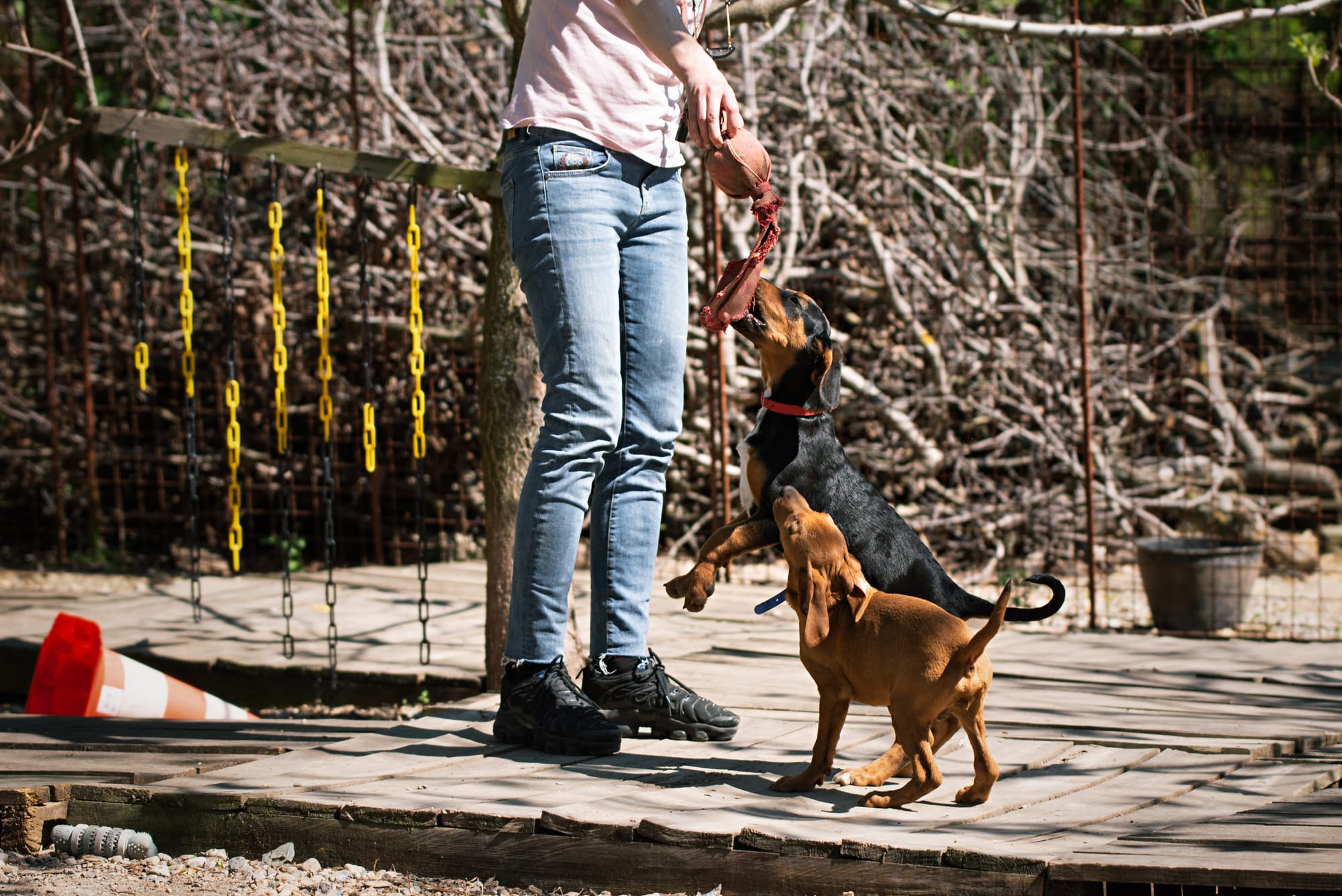 TI FA VEDERE SE LE AREE CANI SONO LIBERE PRIMA ANCORA DI ANDARCI