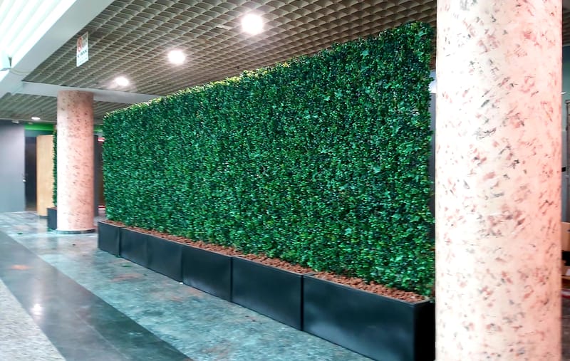 קירות ירוקים