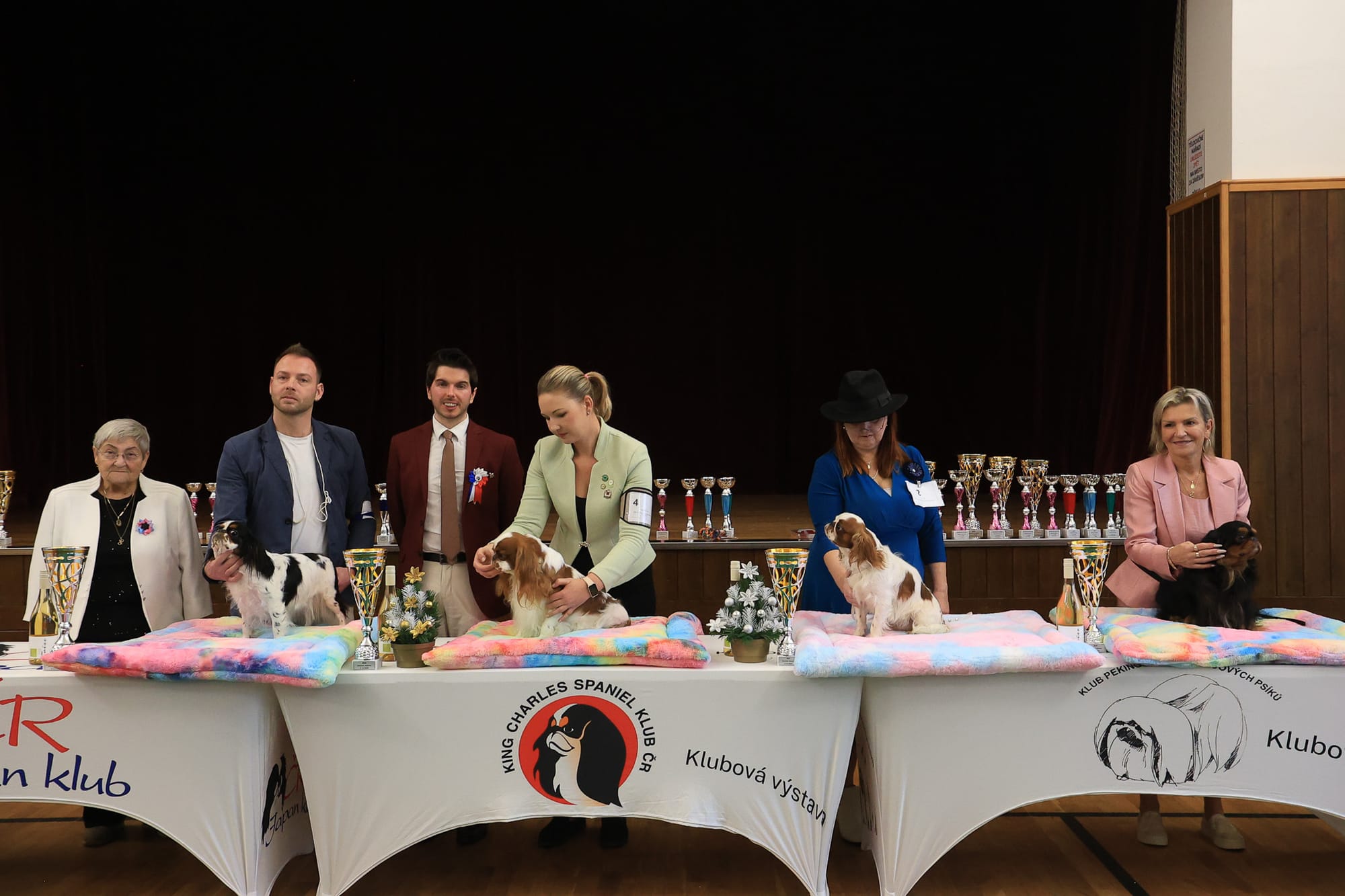 Club show CZ Kamenné Žehrovice - 6. 12. 2025