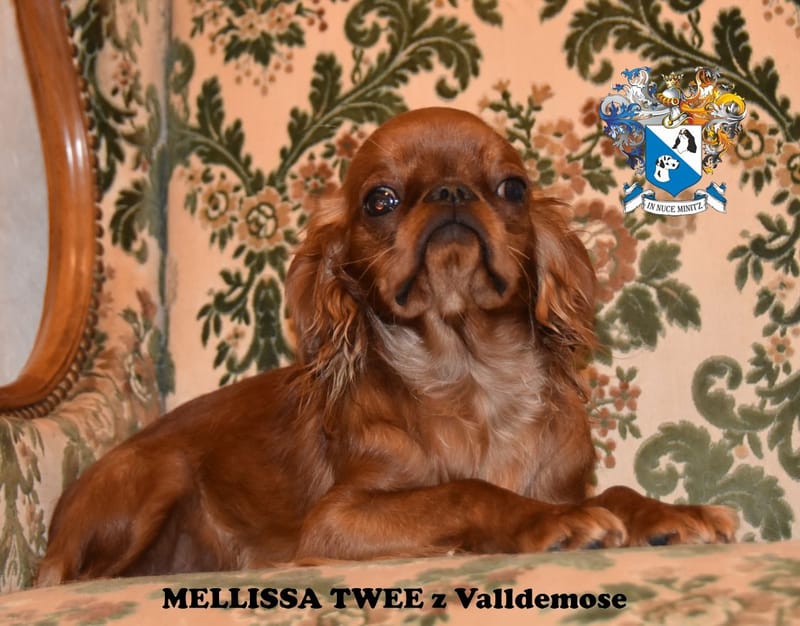 MELLISSA TWEE z Valldemose