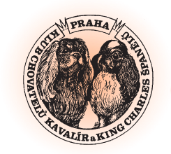 Klub chovatelů Kavalír a King Charles španělů Praha
