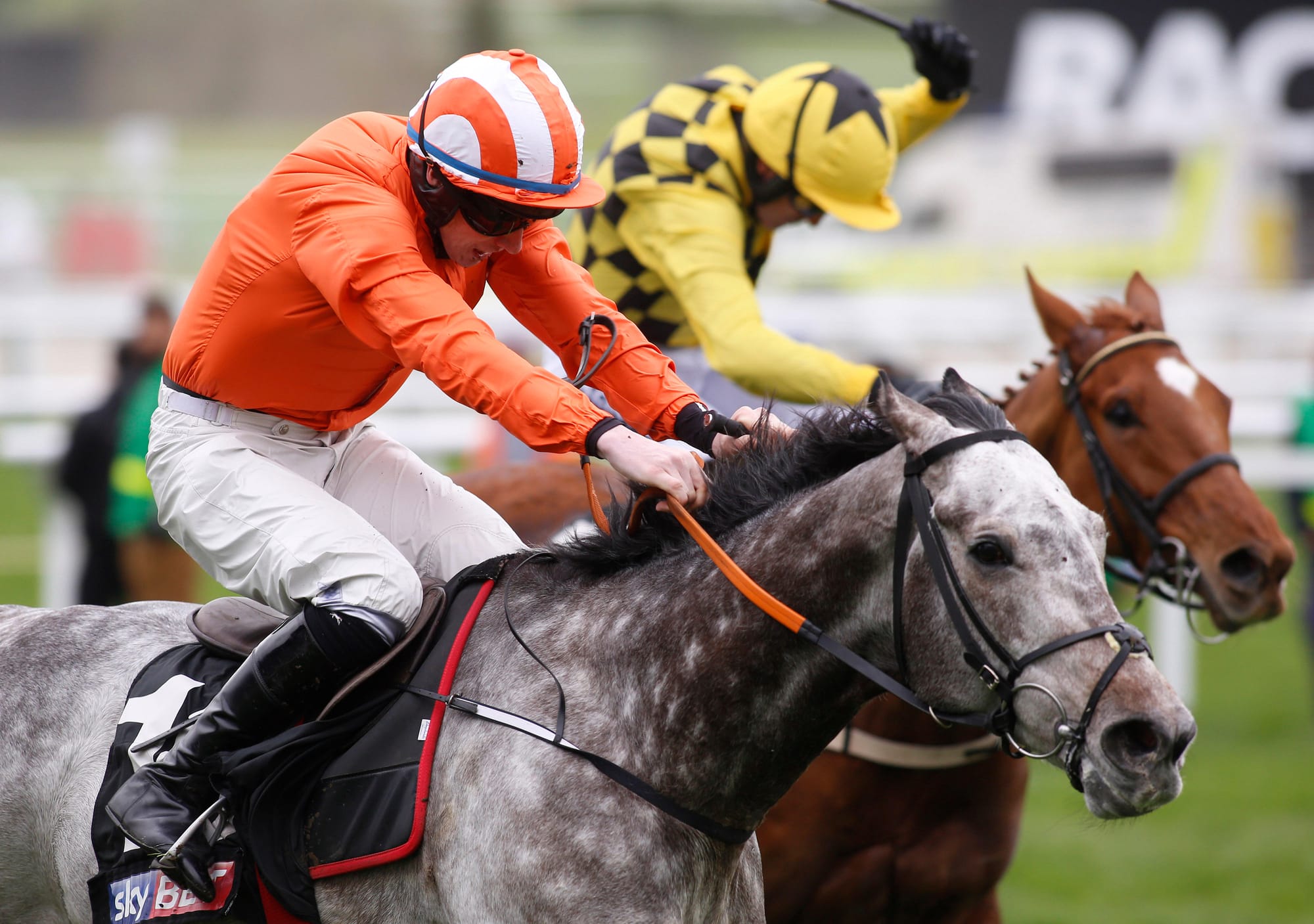 The Curious Tale of Long To Be, Labaik & The Supreme Novices Hurdle...