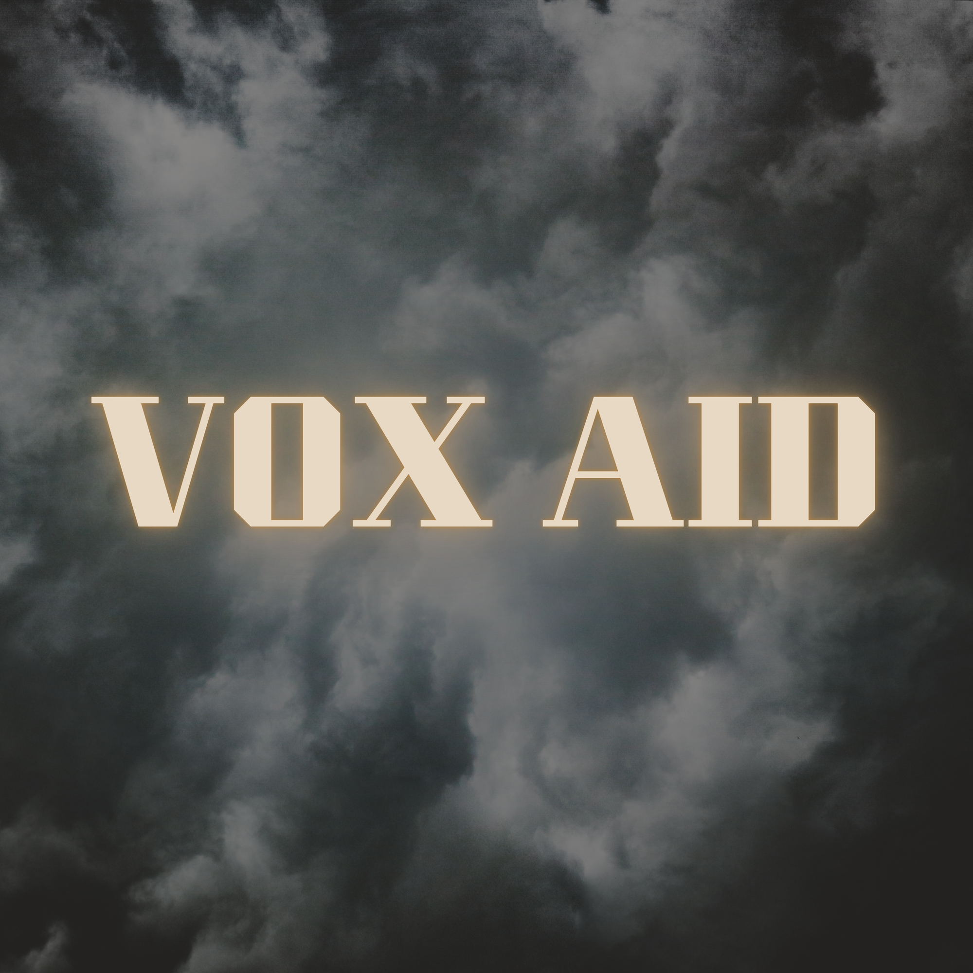 Vox Aid